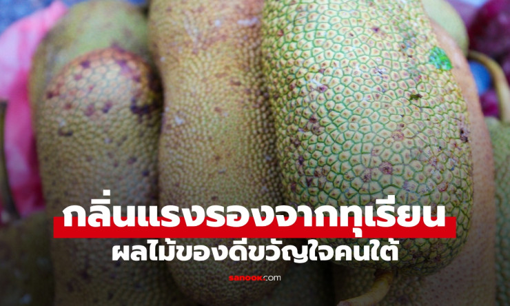 ไม่ใช่ทุเรียน แต่กลิ่นฉุนจนจำได้! รู้จักผลไม้ขวัญใจคนใต้ที่ทั้งหอม ทั้งแรง และอร่อยแบบมีเสน่ห์
